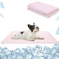 🔥Summer Hot Sale 60% OFF:Only £7.99‼️❄️Premium Cooling Mat For Pet🐶Self-Cooling Non-Toxic Waterless Cool Pad For Dog Cat Summer