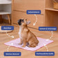🔥Summer Hot Sale 60% OFF:Only £7.99‼️❄️Premium Cooling Mat For Pet🐶Self-Cooling Non-Toxic Waterless Cool Pad For Dog Cat Summer