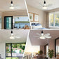 🔥LAST DAY SALE 50% OFF🌀40W LED Ceiling Fan Light – 20.5” Ultra-Quiet with Remote 🎯 | E27 + FREE B22 Adapter 🔌 | For Bedroom 😴, Kitchen 👩‍🍳 & Garage 🛠️ – UK Ready! 🇬🇧