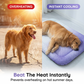 ⏳ Last Day Special Price £7.99! ❄️Pawchill™🇬🇧Pet Cooling Mat for Dogs & Cats 🐾  Naturally Cool Ice-Silk Pad • Breathable, Washable & Soft 🌿  For Floors, Sofas & Car Travel • Multiple Sizes • Gradient Colours ☀️🐶🐱