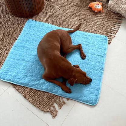 🌞Summer Hot Sale 50% OFF: Only £5.99!!❄️Premium Self-Cooling Pet Mat🐶Heat Resistant Cooling Pad For Dogs & Cats Summer Rest🐱