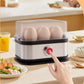 ⏳LAST DAY SALE 50% OFF!!🔥50K+ SOLD! 🥚🍳Multifunctional Egg Steamer with Clear Lid – boil, poach or omelet, auto shut-off, compact. Quick healthy breakfasts! 🛡️✅