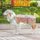🔥LAST DAY Special Price Only：￡8.99!!🌦️Transparent Raincoat For Dog