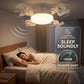 🔥Summer Hot Sale 50% OFF⚡50K+ SOLD💕❄️Aerolux™ Ceiling Fan Light – 2-in-1 Silent LED with Remote 🌬️💡  Energy-Efficient Airflow & Dimmable Lighting for Bedrooms, Living Rooms & Conservatories 🏡✨