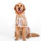 🔥LAST DAY Special Price Only：￡8.99!!🌦️Transparent Raincoat For Dog