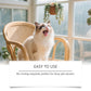 📢📢Last Day Special Price £7.99!‼️⏰🐶Gentle Pet Oral Care Spray 🦷 | Freshen Breath & Remove Plaque🐱