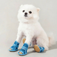 🔥 Last Day Special Price : Only £7.99!!💥⚡Lightweight Mesh Anti-Slip Pet Dog Boots ☀️🐶 | Indoor & Outdoor All Terrain Use🐾