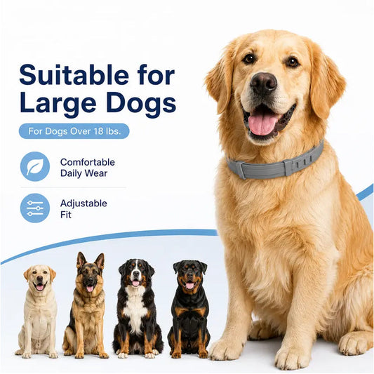 🔥🐈‍⬛LAST DAY SALE – ONLY ￡7.99!!🔥🦟Natural Safe Pet Anti-Insect Collar💧Waterproof Adjustable Gentle Insect Repellent Collar For Dogs & Cats🐱🐶Flexible Comfortable Anti-Tick Flea Collar Fit All Breeds🐾