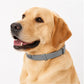 🔥🐈‍⬛LAST DAY SALE – ONLY ￡7.99!!🔥🦟Natural Safe Pet Anti-Insect Collar💧Waterproof Adjustable Gentle Insect Repellent Collar For Dogs & Cats🐱🐶Flexible Comfortable Anti-Tick Flea Collar Fit All Breeds🐾