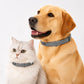 🔥🐈‍⬛LAST DAY SALE – ONLY ￡7.99!!🔥🦟Natural Safe Pet Anti-Insect Collar💧Waterproof Adjustable Gentle Insect Repellent Collar For Dogs & Cats🐱🐶Flexible Comfortable Anti-Tick Flea Collar Fit All Breeds🐾