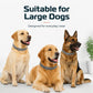 🔥🐈‍⬛LAST DAY SALE – ONLY ￡7.99!!🔥🦟Natural Safe Pet Anti-Insect Collar💧Waterproof Adjustable Gentle Insect Repellent Collar For Dogs & Cats🐱🐶Flexible Comfortable Anti-Tick Flea Collar Fit All Breeds🐾