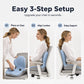 🎉 2026 Sale — Over 42,000 Sold! 💞 🪑 Ergonomic Memory Foam Seat Cushion with Back Support – Stay Comfortable All Day, Perfect for Office, Car & Home ✨