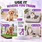 🥳HOT SALE🥳💞10K+ SOLD! ⏰Last Day Special Price ￡7.99!!⏰Potty Training Spray ! Guides pets, safe & easy spray. Cleaner home – grab yours! ✅